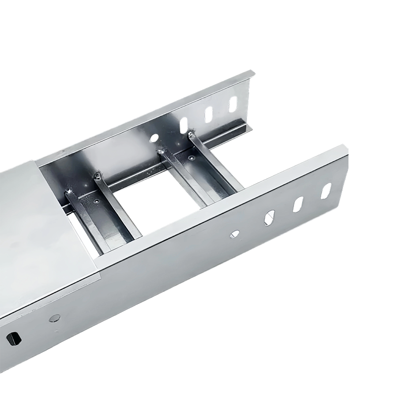 SS304/SS316 Ladder Type Cable Tray