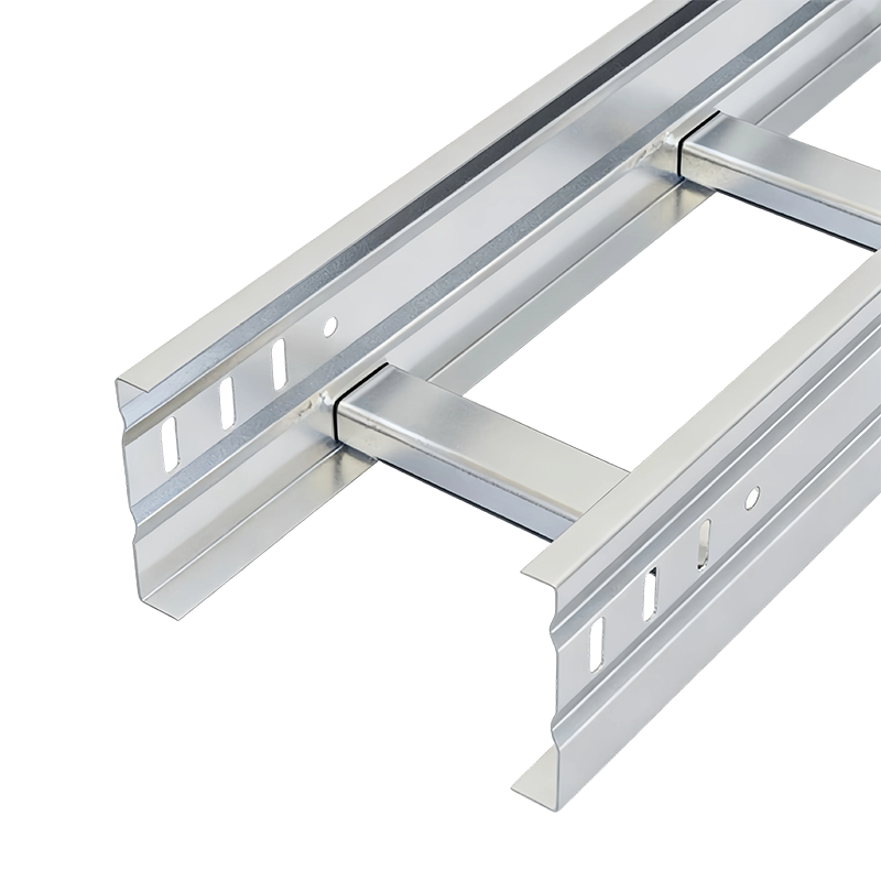 SS304/SS316 Ladder Type Cable Tray