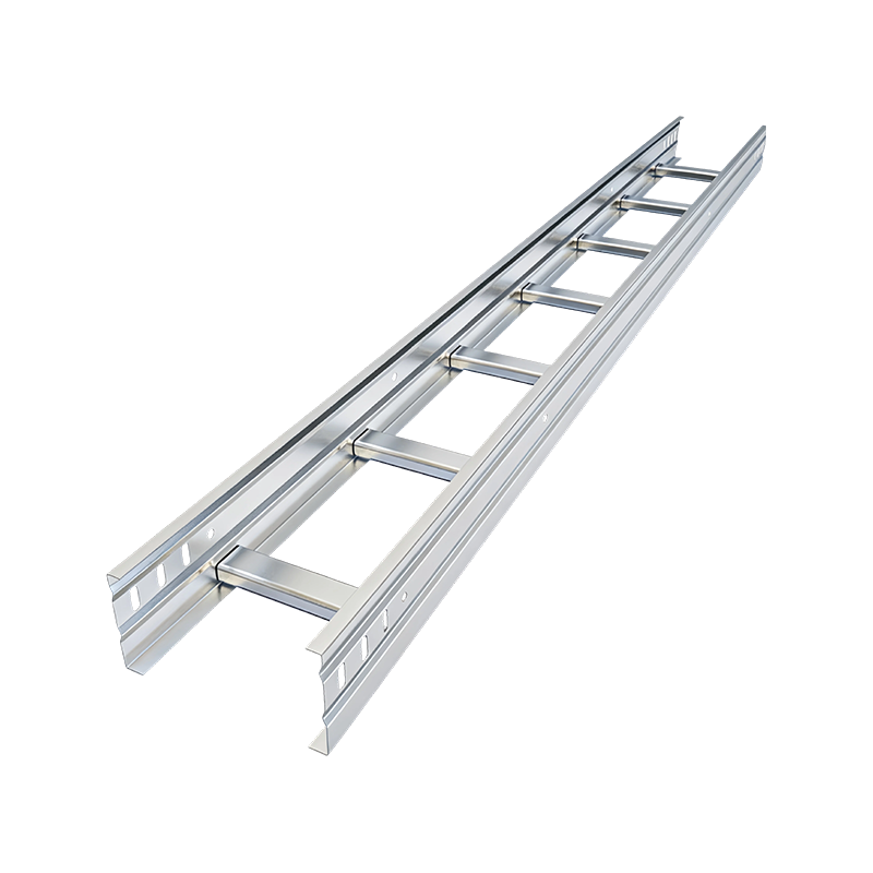 SS304/SS316 Ladder Type Cable Tray