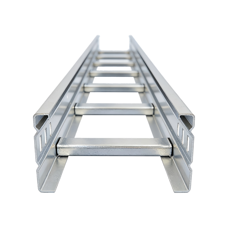 SS304/SS316 Ladder Type Cable Tray
