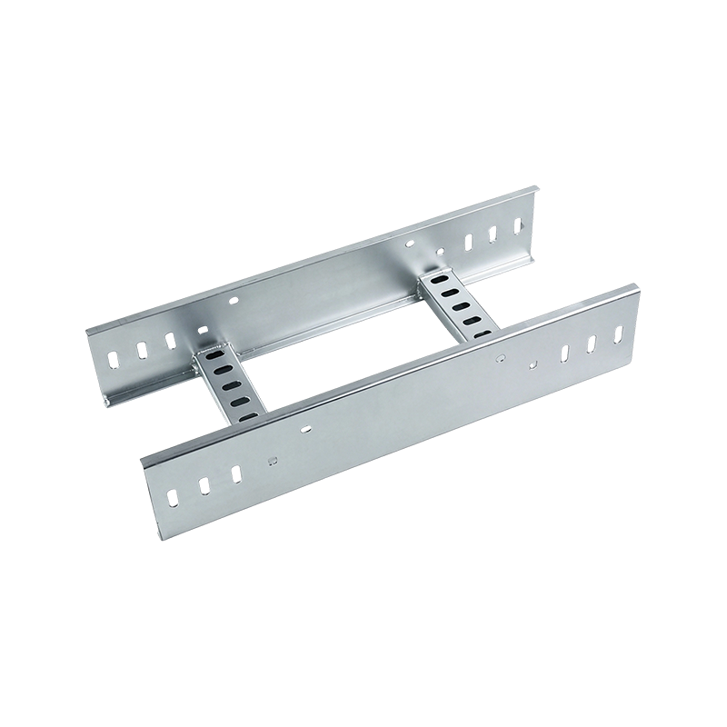 SS304/SS316 Ladder Type Cable Tray