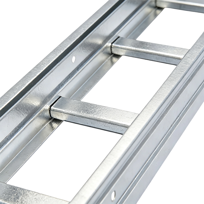 SS304/SS316 Ladder Type Cable Tray
